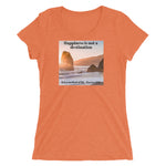 Ladies' short sleeve t-shirt